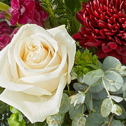 Cranberry Fizz Bouquet –  The Asheville Florist, Swannanoa NC