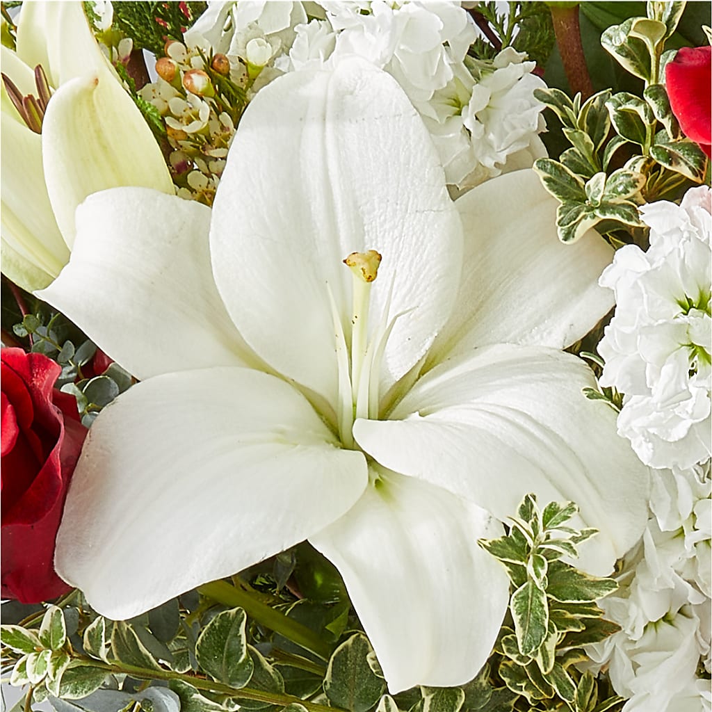 Twinkle Lights Bouquet –  The Asheville Florist, Swannanoa NC