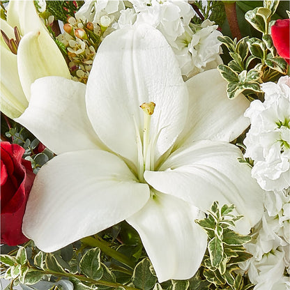 Twinkle Lights Bouquet –  The Asheville Florist, Swannanoa NC