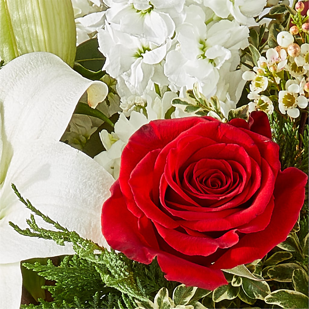 Twinkle Lights Bouquet –  The Asheville Florist, Swannanoa NC