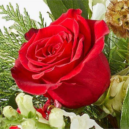 Deck the Halls Bouquet –  The Asheville Florist, Swannanoa NC