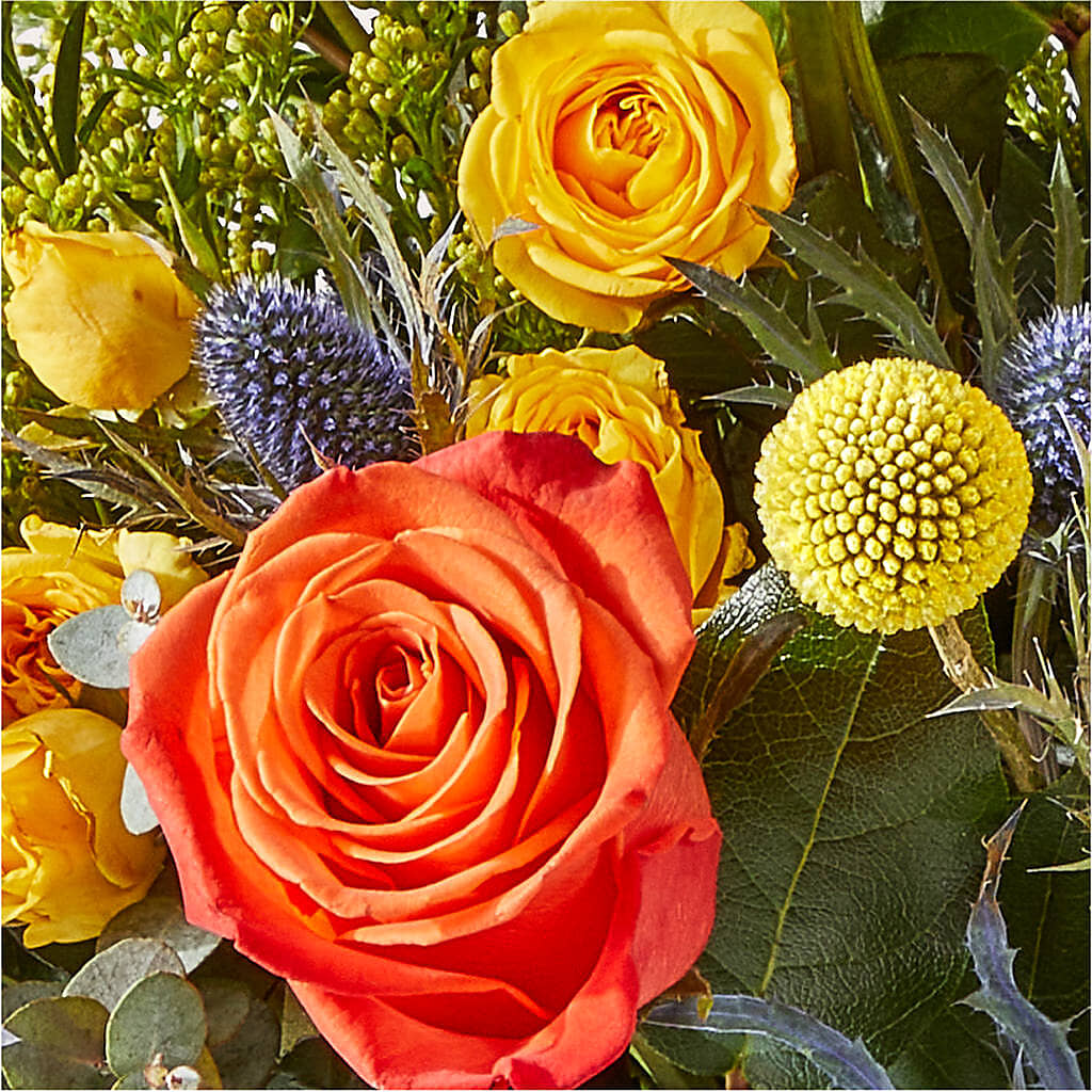 Disco Bouquet –  The Asheville Florist, Swannanoa NC