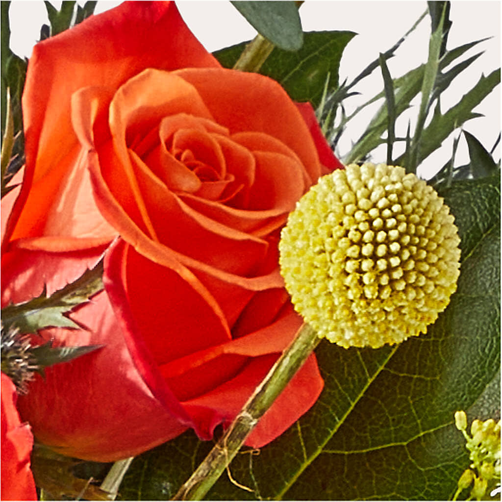 Disco Bouquet –  The Asheville Florist, Swannanoa NC