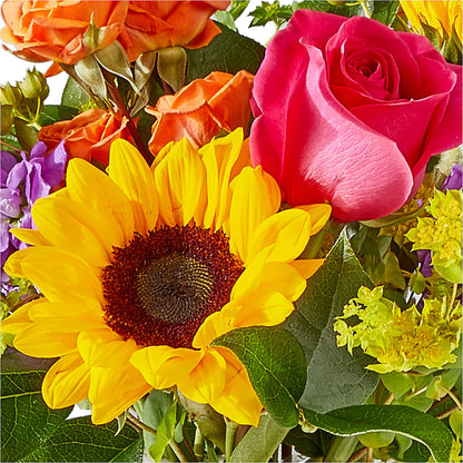 Vibrant Greetings Bouquet –  The Asheville Florist, Swannanoa NC