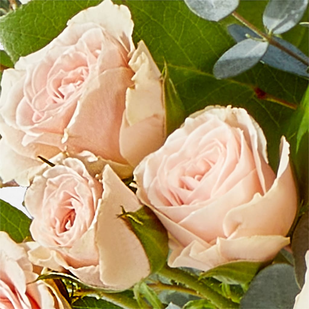 Inspired Bouquet –  The Asheville Florist, Swannanoa NC