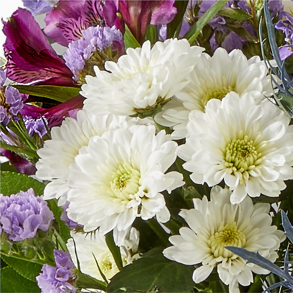 Shooting Star Bouquet –  The Asheville Florist, Swannanoa NC