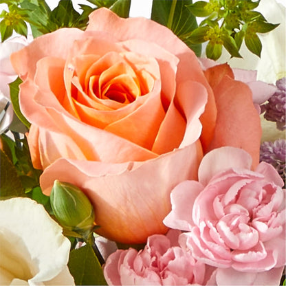 French Market Bouquet –  The Asheville Florist, Swannanoa NC