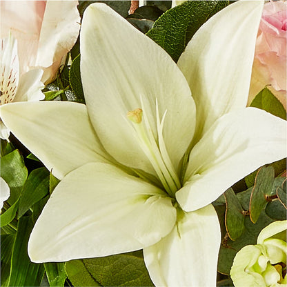 Ballet Slippers Bouquet –  The Asheville Florist, Swannanoa NC