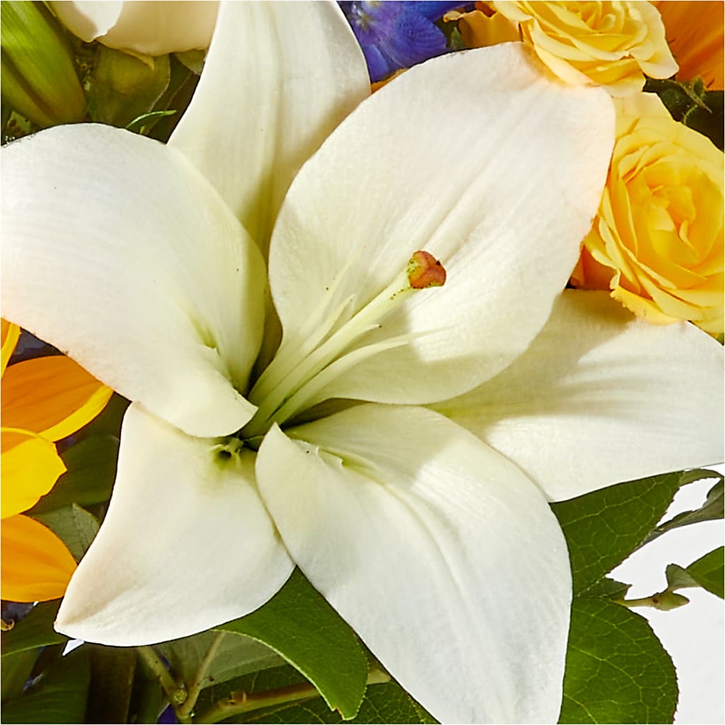 Wonderfully Sunny Bouquet –  The Asheville Florist, Swannanoa NC