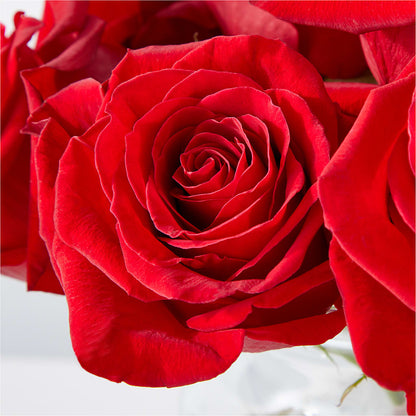 Cupid's Embrace Red Rose Bouquet –  The Asheville Florist, Swannanoa NC